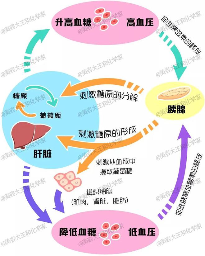 开云 开云体育20岁到60岁都想买：带货王狂打call的【直达式抗糖】真有效or更致老？(图3)