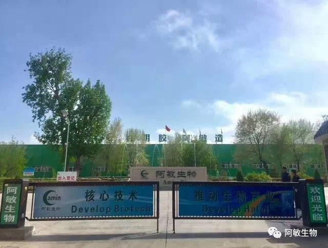 开云 开云体育明胶成为兰州市“十大科技项目”的背后：“药”还会远吗？(图6)