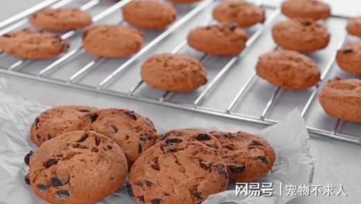 孩子脾虚积食影响发育这3类食物要开云体育 开云平台少吃！健脾胃学会3招(图3)