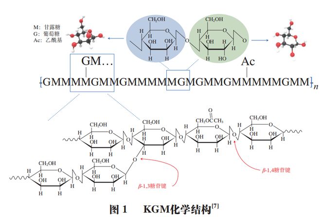 开云 开云体育官网《食品科学》：哈尔滨商业大学朱秀清教授等：魔芋葡甘露聚糖基物理共混改性复合膜研究进展(图3)