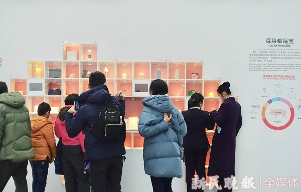 开云体育 Kaiyun.com 官网入口金猪送宝 体脂率比很多人低智商堪比黑猩猩让我们重新认识猪(图2)