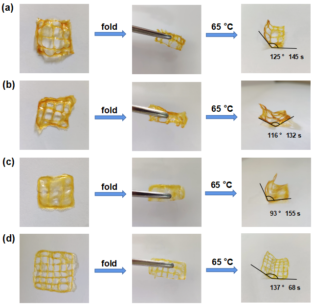 最新成果！江南大学研发新一代4D打印水凝胶！开云体育 开云平台(图8)
