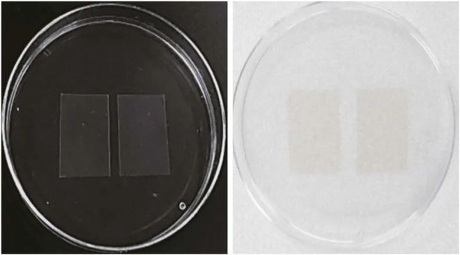 FSHW 用于缓解口干的透明质酸基可食性薄膜的研制Kaiyun 开云(图2)